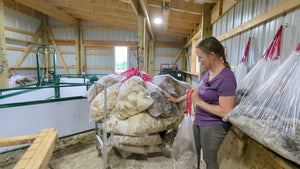 2025 Fleece Auction - What you need to know