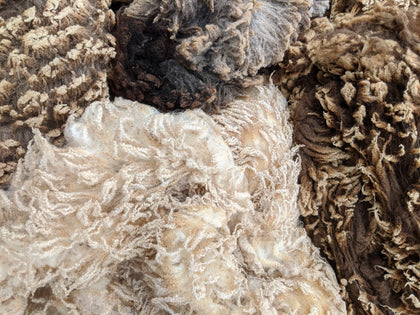 Raw Fleeces