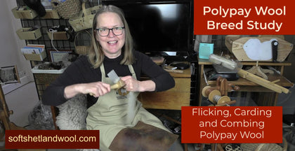 Fiber Prep tools I am using for the Breed Study