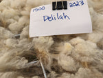 Delilah's Fleece - Fawn Katmoget - Roo'd - 2023