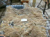 Hermoine's Fleece Grey Sheared
