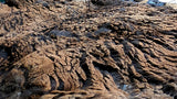 Lokola's Fleece Black Sheared