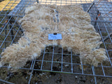 Musetta's Fleece - White - Sheared - 2023