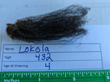 Lokola's Fleece - Black - Sheared - 2023