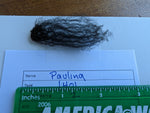 Paulina's Fleece - Black- Sheared - 2023