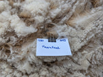 Meera Reed's Fleece - Fawn Katmoget - Sheared - 2023