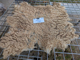Barbarina's Fleece - Fawn Katmoget - Sheared - 2023