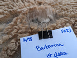Barbarina's Fleece - Fawn Katmoget - Sheared - 2023