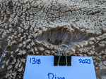 Dina's Fleece - Fawn Katmoget - Sheared - 2023