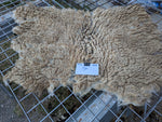 Tye's Fleece - Fawn Katmoget - Sheared - 2023