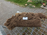 Adrianna's Fleece - Moorit - Sheared - 2023