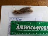 O'Brien's Fleece - Moorit - Sheared - 2023