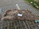 O'Brien's Fleece - Moorit - Sheared - 2023