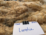 Lucretia's Fleece - White - Roo'd - 2023