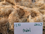 Mabel's Fleece - Fawn - Roo'd - 2023
