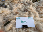 Mabel's Fleece - Fawn - Roo'd - 2023