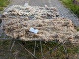 Rosine's Fleece - Grey - Roo'd - 2023