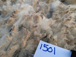 Alcina's Fleece - Fawn Katmoget - Roo'd - 2023