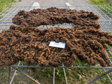 Salome's Fleece - Moorit - Roo'd - 2023