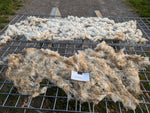 Lucia's Fleece - White - Roo'd - 2023