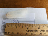 Lucia's Fleece - White - Roo'd - 2023
