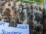 Sojourner's Fleece - Grey - Roo'd - 2023