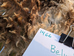 Belinda's Fleece - Moorit Spotted - Roo'd - 2023