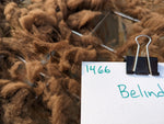 Belinda's Fleece - Moorit Spotted - Roo'd - 2023