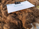 Belinda's Fleece - Moorit Spotted - Roo'd - 2023
