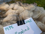 Rosalind's Fleece - Grey - Roo'd - 2023