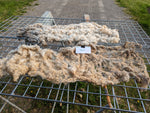 Janet's Fleece - Grey Katmoget - Roo'd - 2023