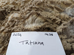 Tatianna's Fleece Fawn Sheared 2024