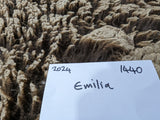 Emelia's Fleece Moorit Sheared 2024