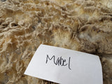 Mabel's Fleece Fawn Roo'd 2024