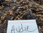 Audie's Fleece Black Roo'd 2024