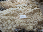 Belva's Fleece White Roo'd 2024