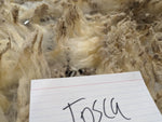 Tosca's Fleece White Roo'd 2024