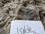 Isolde's Fleece Grey Roo'd 2024