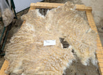 Bristol's Fleece White Sheared 2025