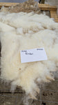 Bristol's Fleece White Sheared 2025