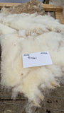 Bristol's Fleece White Sheared 2025