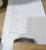 Sarin's Fleece Black Sheared 2025