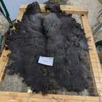 Sarin's Fleece Black Sheared 2025