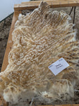 Leyton's Fleece White Hybrid 2025