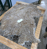 Hero's Fleece Fawn Sheared 2025
