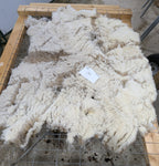 Hero's Fleece Fawn Sheared 2025
