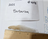 Barbarina's Fleece Fawn Sheared 2025