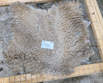 Barbarina's Fleece Fawn Sheared 2025
