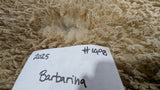 Barbarina's Fleece Fawn Sheared 2025