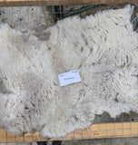 Barbarina's Fleece Fawn Sheared 2025